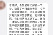 梦到一只老鼠_是什么预兆