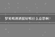 梦到喝酒是什么意思_梦见自己喝酒好不好