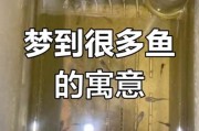 梦到河里有鱼是什么意思_梦到河里有鱼好不好