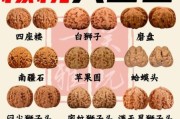 核桃图片大全大图_如何挑选高清核桃图