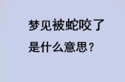 梦到孩子被蛇咬是什么意思_孩子被蛇咬梦境解析