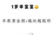 一岁宝宝会什么技能_如何训练