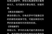 梦到乌龟打架_周公解梦乌龟打架预示什么