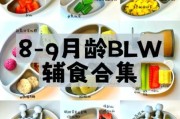 九个月宝宝辅食食谱_九个月宝宝辅食吃什么好
