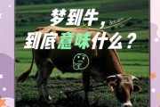 梦到牛群是什么意思_牛群梦境解析