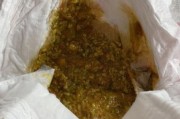 奶粉宝宝大便有奶瓣_需要换奶粉吗