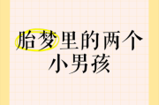 梦到两个男孩是什么意思_如何解析双童梦境