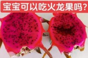 一岁宝宝可以吃火龙果吗_火龙果过敏症状