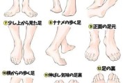 脚的图片大全_如何挑选高清足部素材