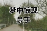 梦到开枪是什么意思_梦到开枪预示什么
