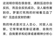梦到打狗是什么意思_梦见打狗预示什么