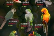 鹦鹉图片大全_如何挑选高清鹦鹉照片