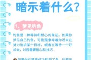 梦到人鱼是什么意思_人鱼梦境解析