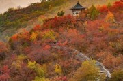 香山图片大全哪里找_香山红叶什么时候最红