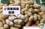 梦到吃花生是什么意思_梦见吃花生好不好