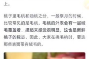 梦到摘桃子吃是什么意思_周公解梦桃子象征