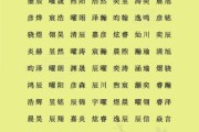 宝宝取名字大全_如何给新生儿起名