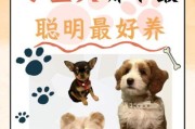 狗狗品种大全图片_小型犬有哪些