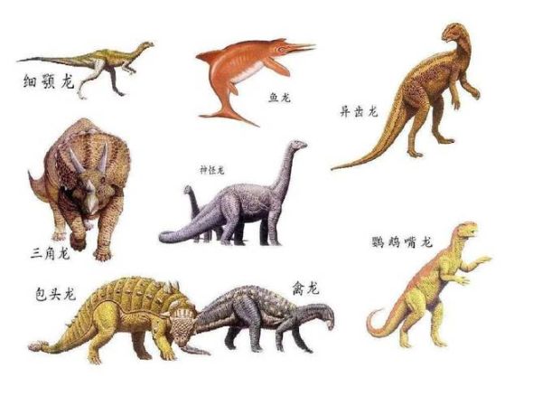 儿童恐龙图片大全大图_高清恐龙图鉴怎么选