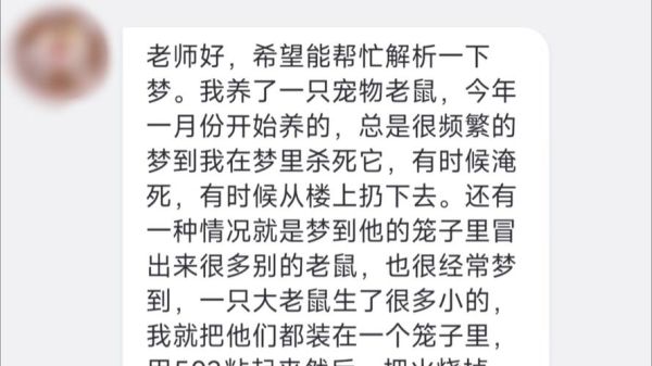 梦到一只老鼠_是什么预兆