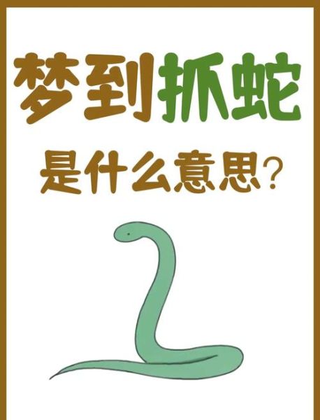 梦到蛇是什么征兆_梦见蛇代表什么