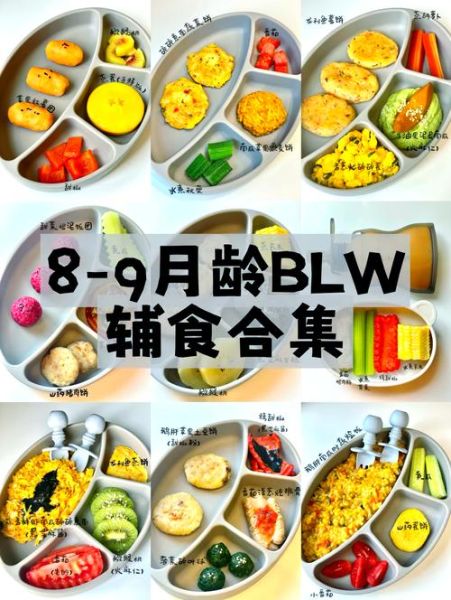 九个月宝宝辅食食谱_九个月宝宝辅食吃什么好