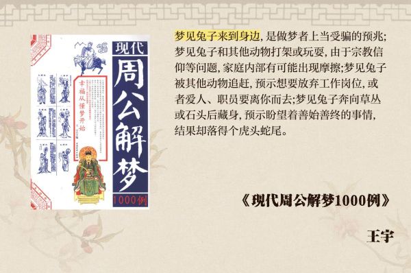 梦到白兔子是什么意思_白兔梦境预示什么