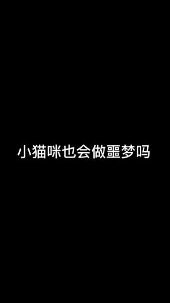 梦到小黑猫是什么意思_黑猫入梦预示什么
