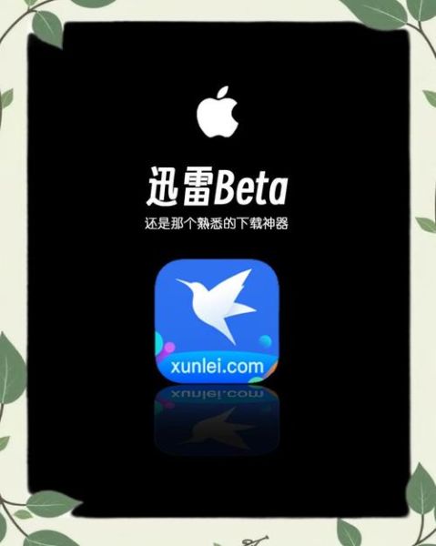 苹果手机迅雷下载不了怎么办_迅雷iOS无法安装解决方法