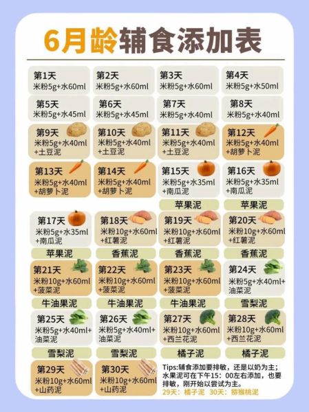 宝宝几个月可以添加辅食_辅食添加时间表