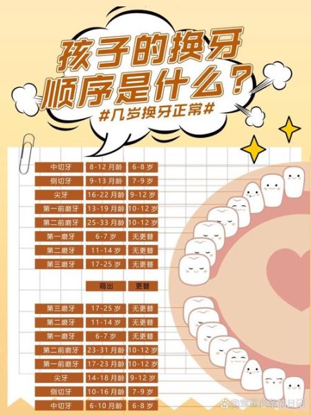 宝宝掉牙正常吗_乳牙脱落顺序