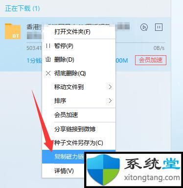 迅雷不能下载种子了怎么办_最新可用替代方案