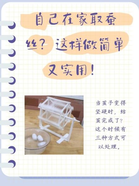 蚕宝宝结茧架子怎么做_自制蚕茧架教程