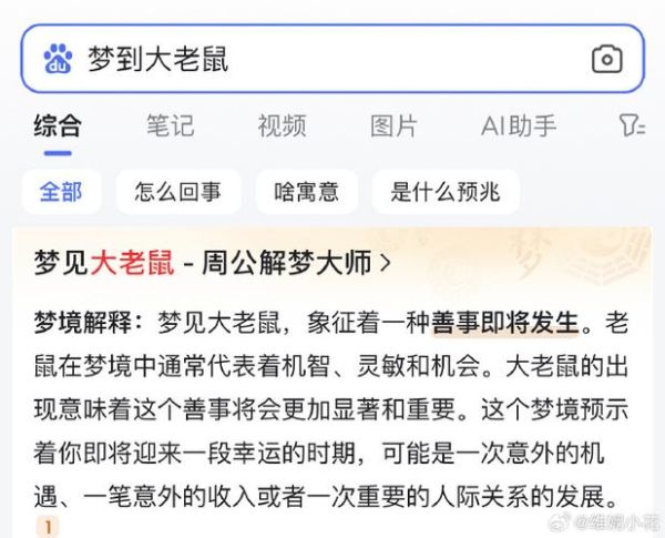 梦到老鼠吃老鼠是什么意思_梦见老鼠互吃预示什么