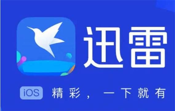 破解版迅雷下载_安全吗