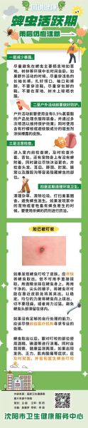 梦到蜱虫是什么意思_如何化解
