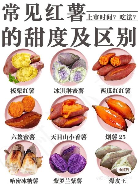 红薯图片大全大图_红薯品种怎么区分