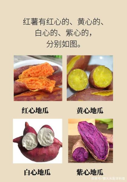 红薯图片大全大图_红薯品种怎么区分