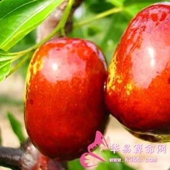 梦到摘枣吃是什么意思_孕妇梦见摘枣吃预示什么