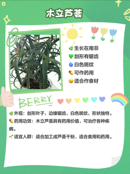 芦荟图片大全_芦荟品种识别方法