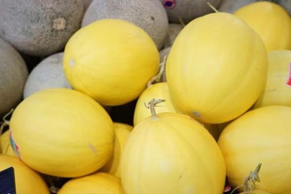 梦到吃甜瓜是什么意思_孕妇梦见甜瓜预示什么