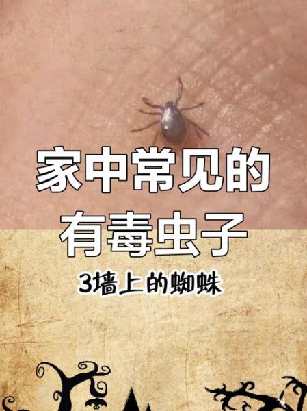 有毒的虫子图片大全_哪些虫子最致命