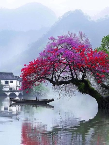 图片大全怎么找_免费高清图库有哪些