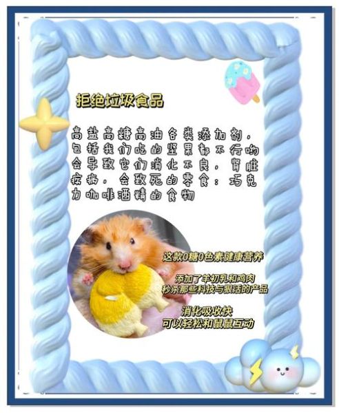 仓鼠宝宝怎么养_仓鼠宝宝吃什么