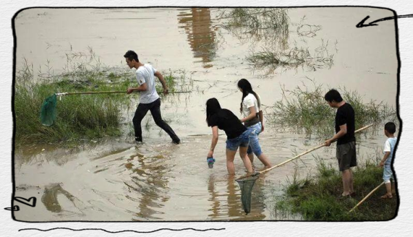 梦到捉鱼没捉到_是什么意思