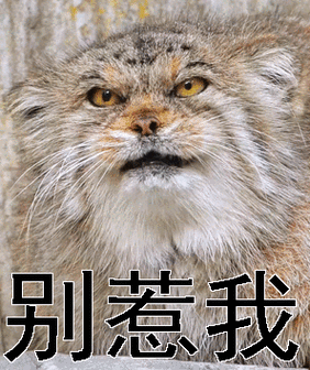 别惹我迅雷下载_别惹我高清资源在哪找