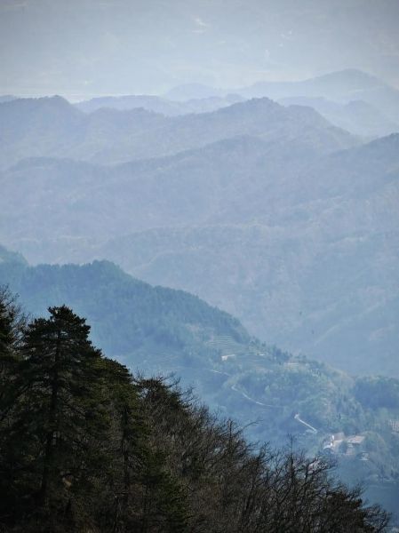 梦到在山顶是什么意思_山顶写作灵感来源