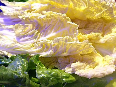 青菜图片大全大图_如何挑选新鲜青菜