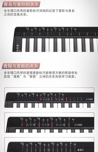 口风琴图片大全_初学者怎么选型号