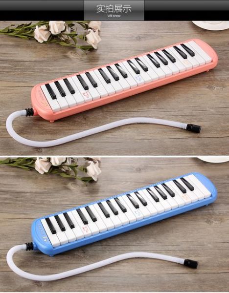 口风琴图片大全_初学者怎么选型号